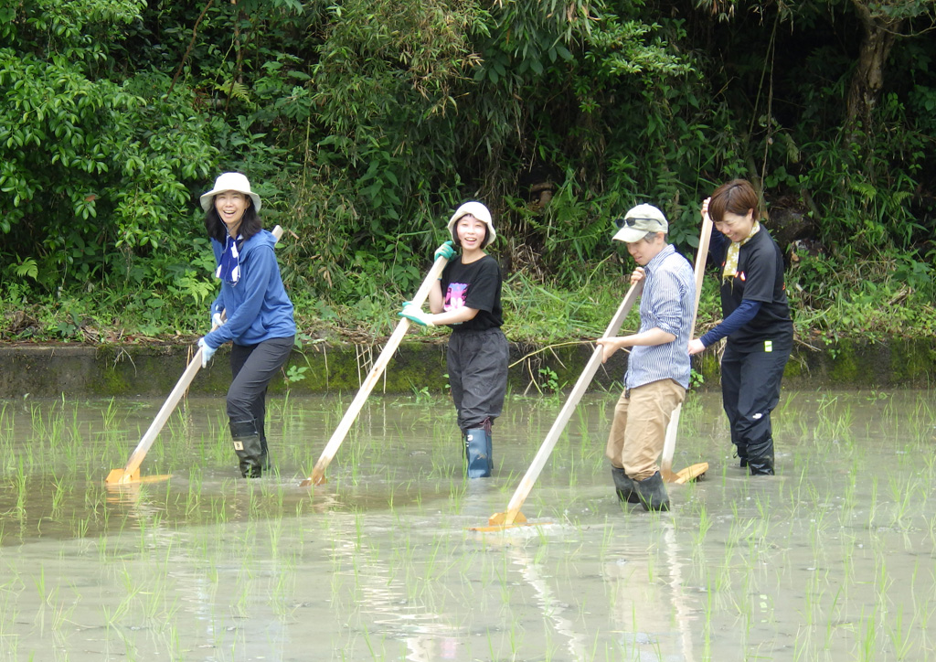 坂ノ途中スタッフ除草応援に